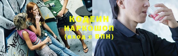 дурь Бородино