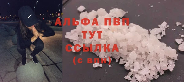 apvp Богородицк